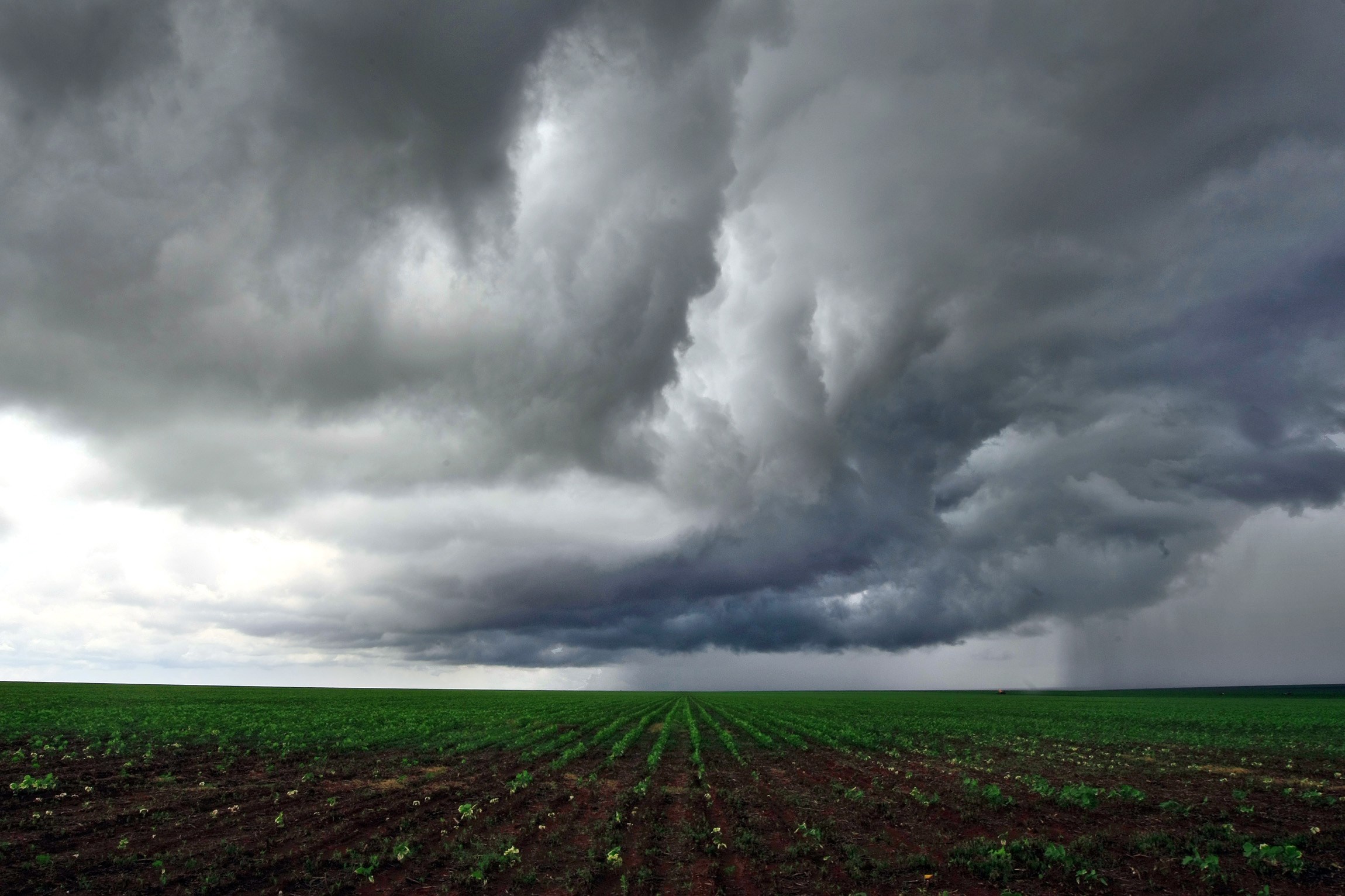 Chegada Da poca De Chuva Requer Aten o Com Epidemias Central Campo 